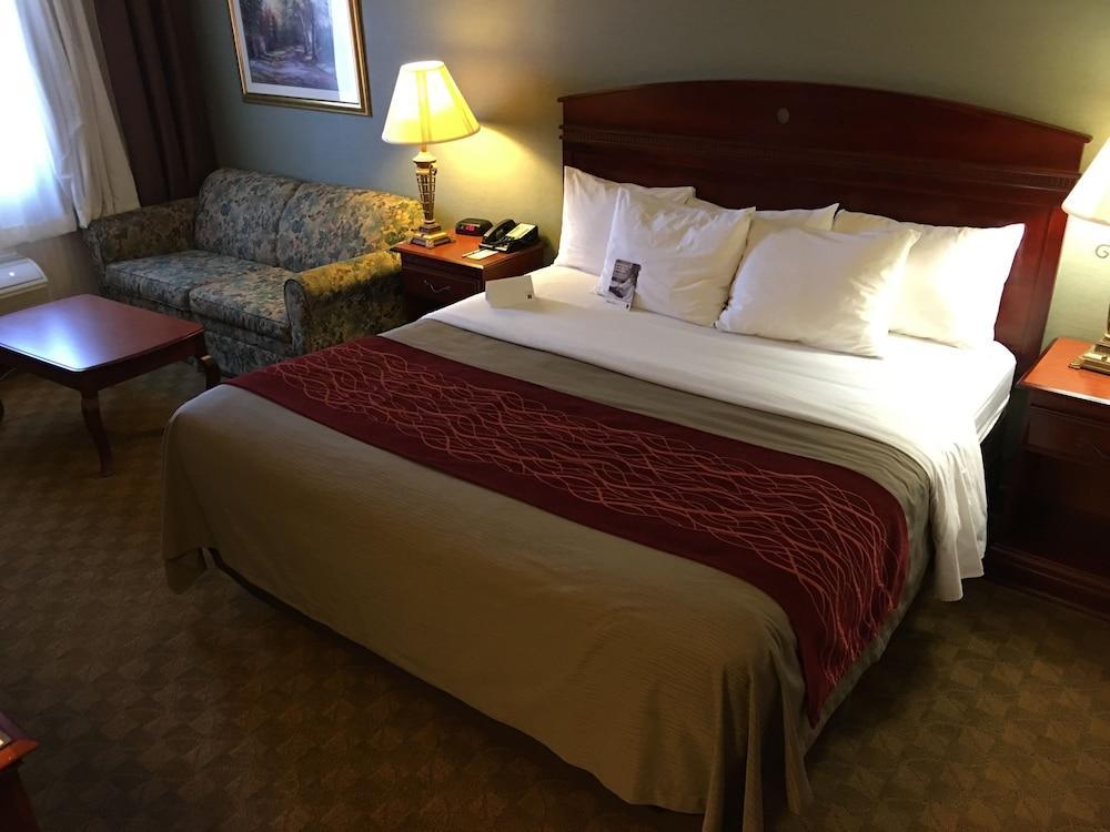 Comfort Inn Springfield Dış mekan fotoğraf