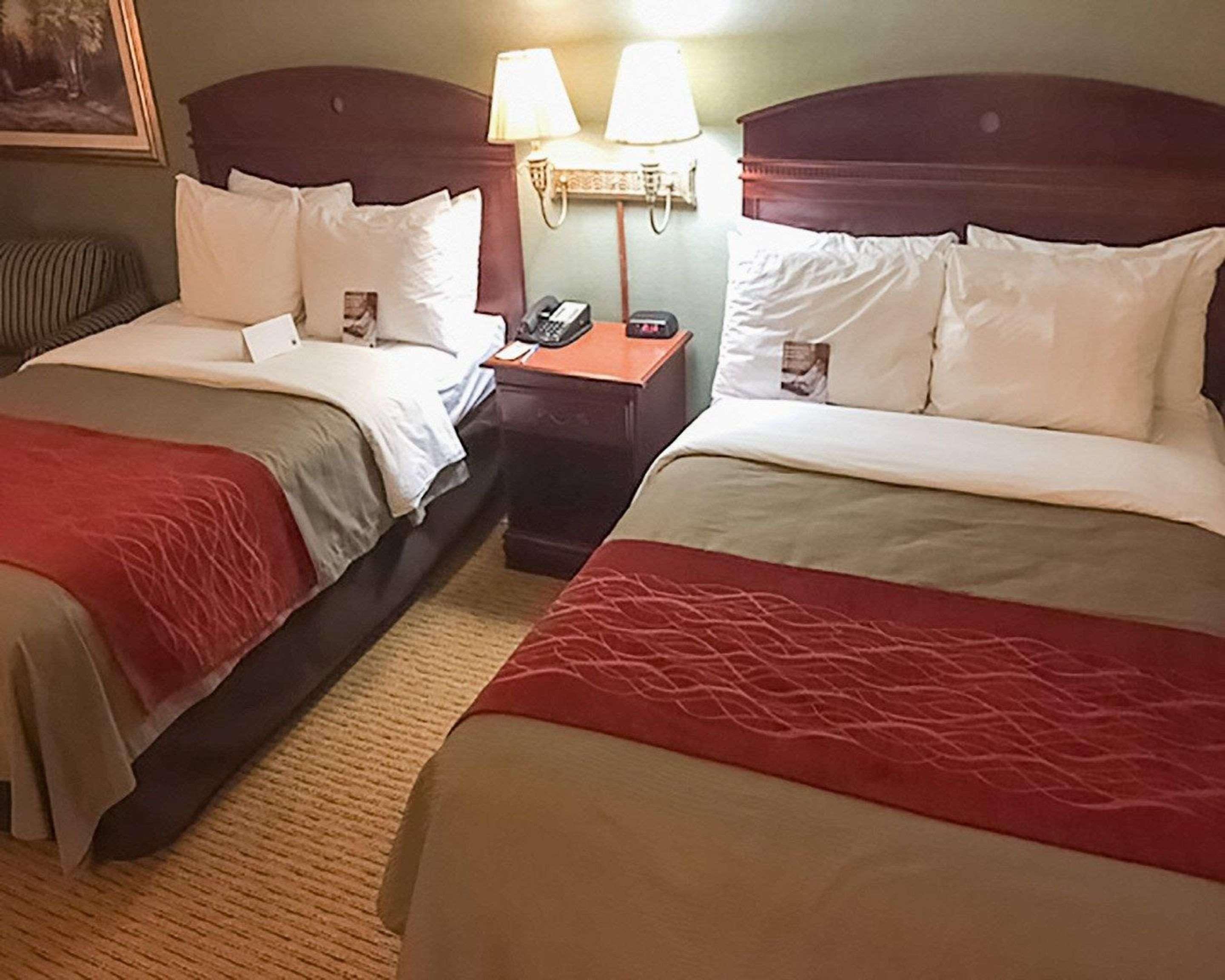 Comfort Inn Springfield Dış mekan fotoğraf